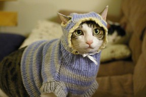 爱游戏体育下载-冠军技战术对比：中方节奏掌控更出色，冠军的比赛