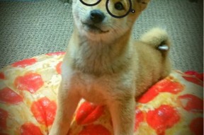 爱游戏体育下载-法甲“皇室争霸”：巴黎遭遇强敌，争冠形势严峻