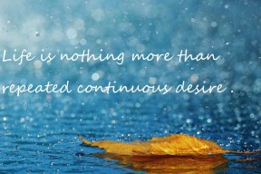 爱游戏体育-法甲十足火药味：场上场下都充满张力，法甲有哪些强队