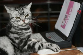 爱游戏app下载-地方篮球发展大会召开明确未来十年区域篮球振兴目标，篮球发展规划