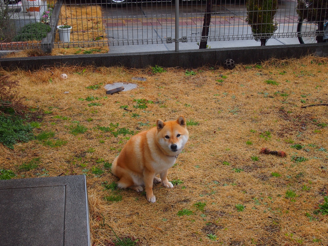 体育科研成果转化项目，体育科研成果转化项目怎么写