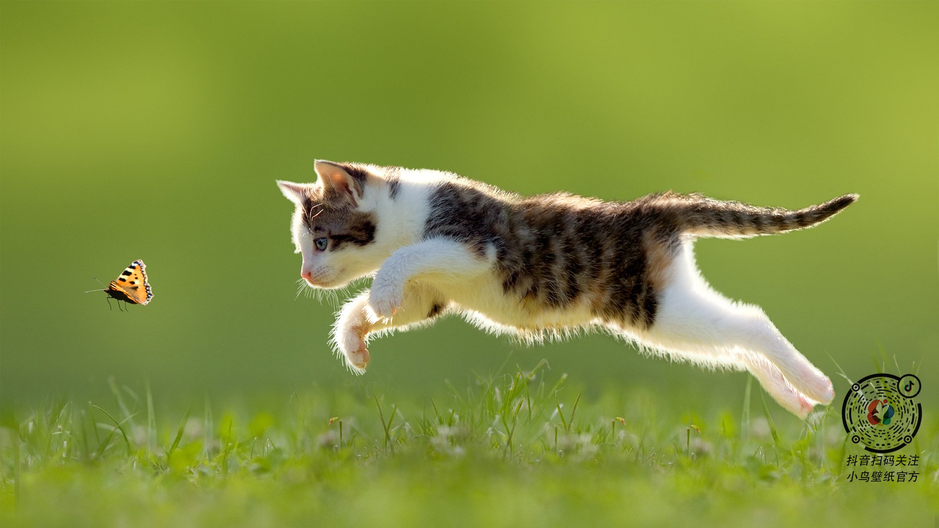 意甲球队基于多源数据构建个性化体能管理系统