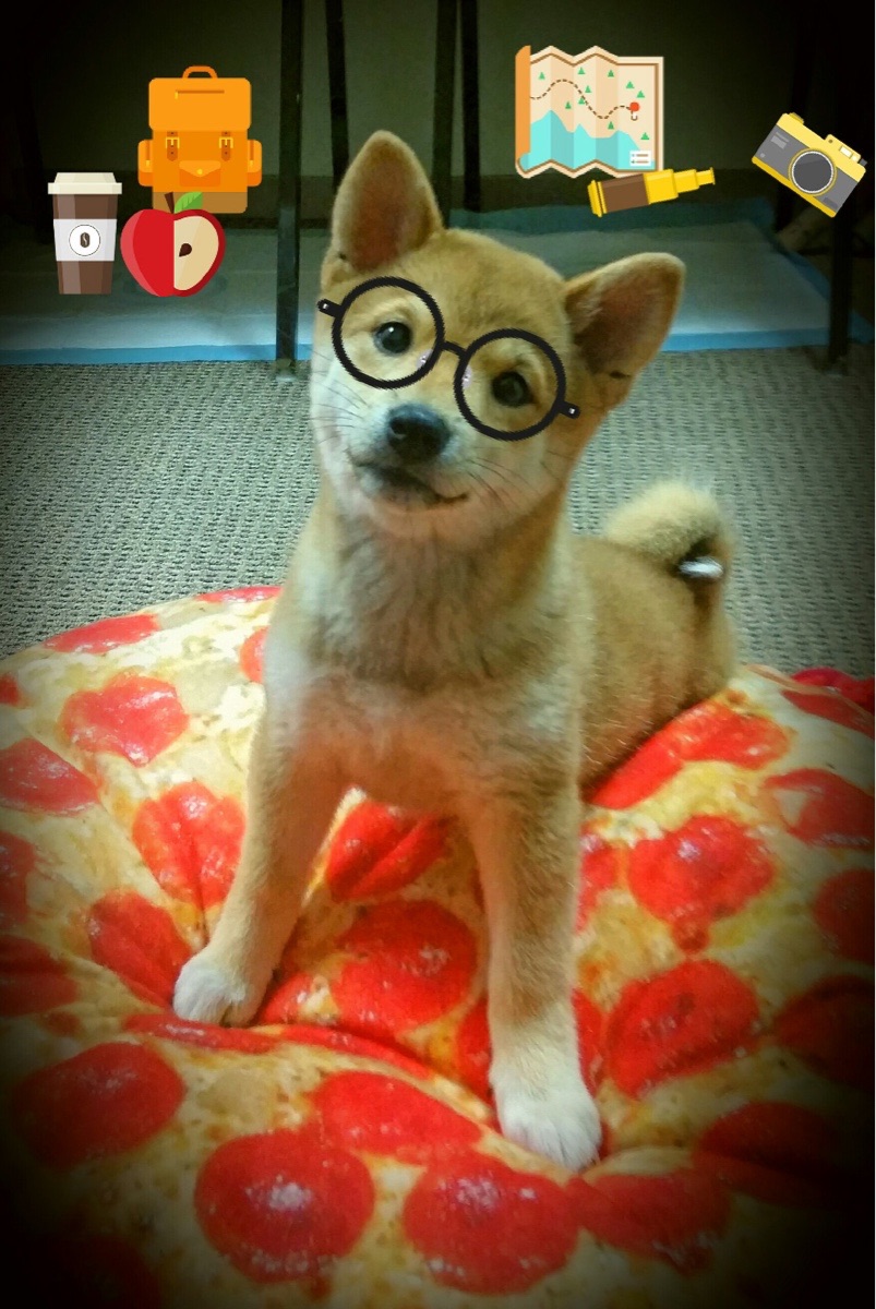 意甲青训结合空间导航训练强化球员局部压迫判断，意甲青训怎么算