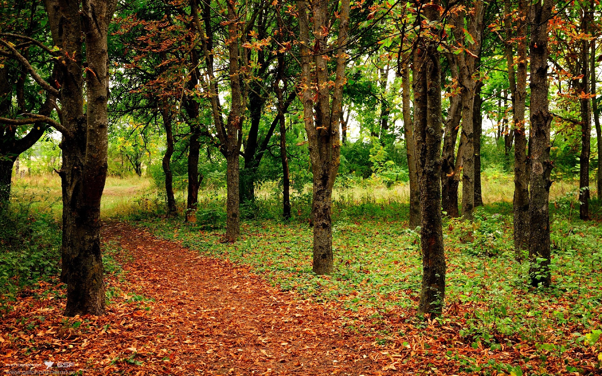 法甲球队采用机器学习预测对手进攻趋势的案例,对法甲把握比较准的公司