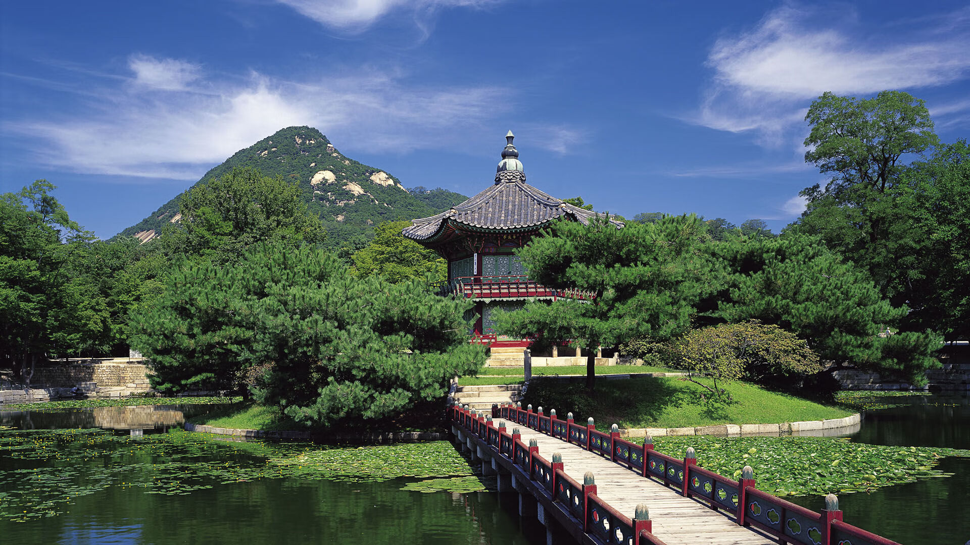 一周热评五大体坛争议事件盘点，体坛大事记