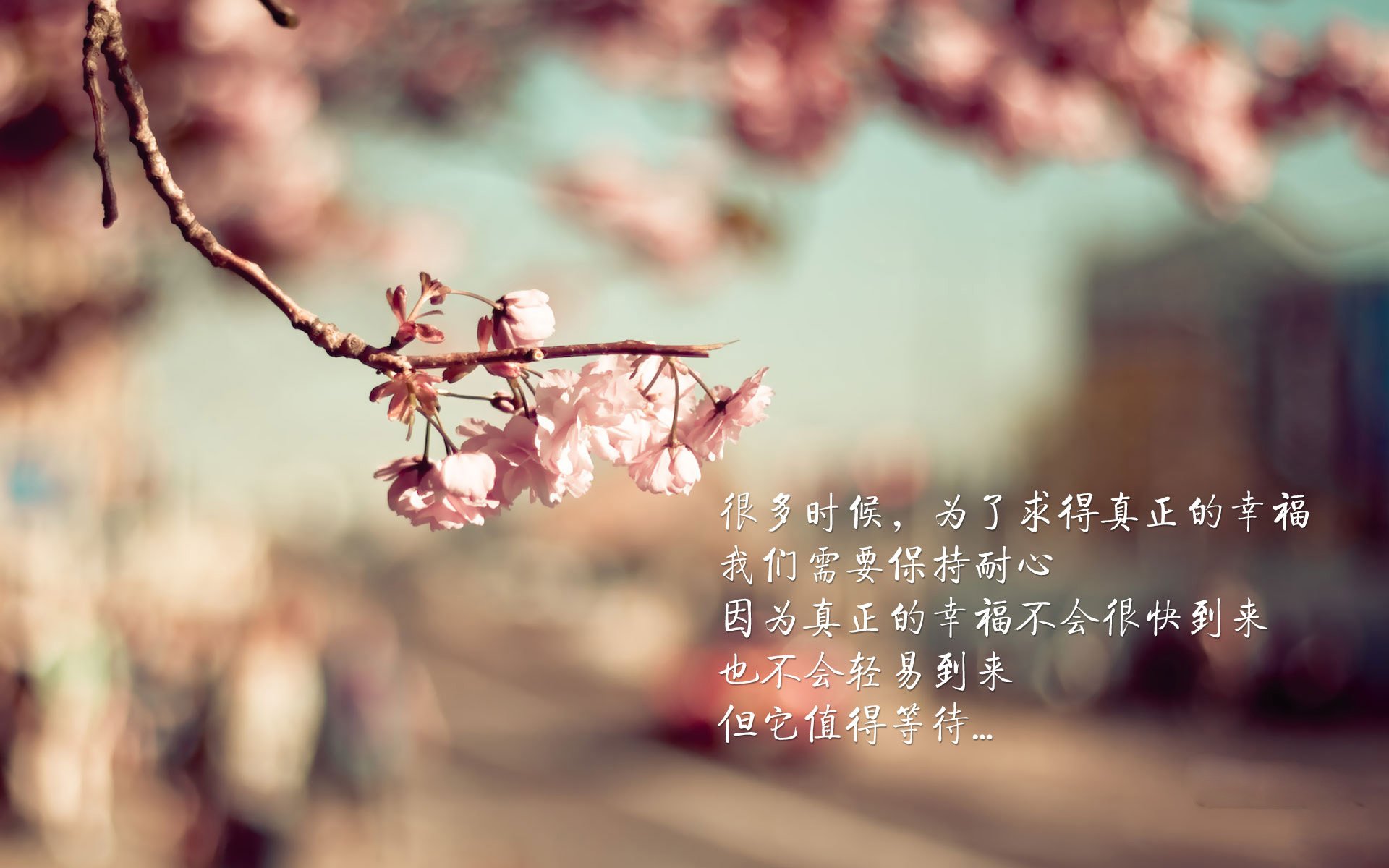 世界杯预选赛中国女足晋级 球员士气提升,本届女足世界杯中国队