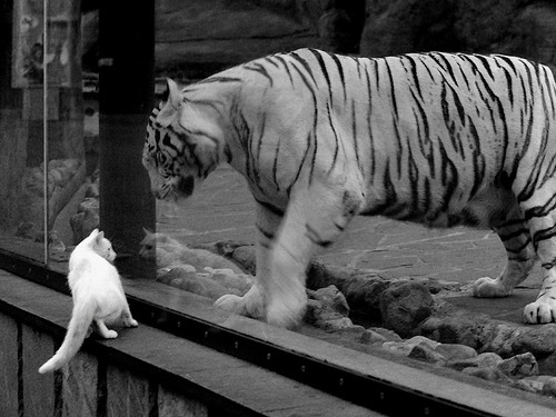 五大联赛是否普遍降低边后卫助攻风险权重，五大联赛从未降级球队