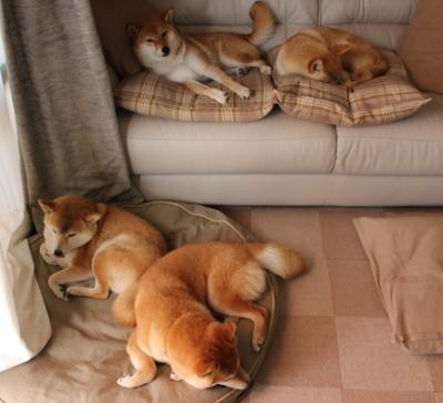 西班牙男队后程冲刺能力显著增强，西班牙男子组合