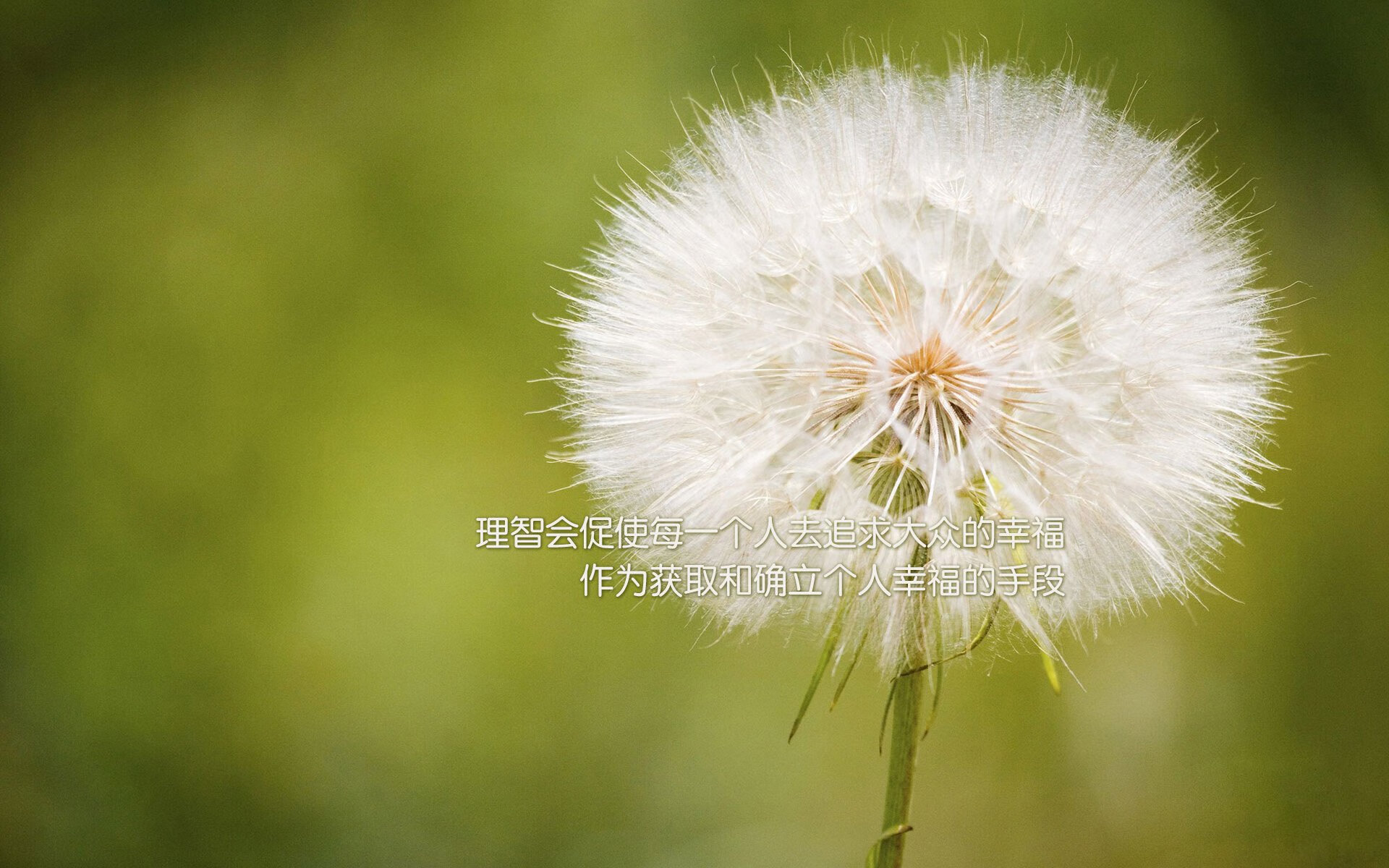 中国足球职业俱乐部球员转会市场活跃,中国足协转会