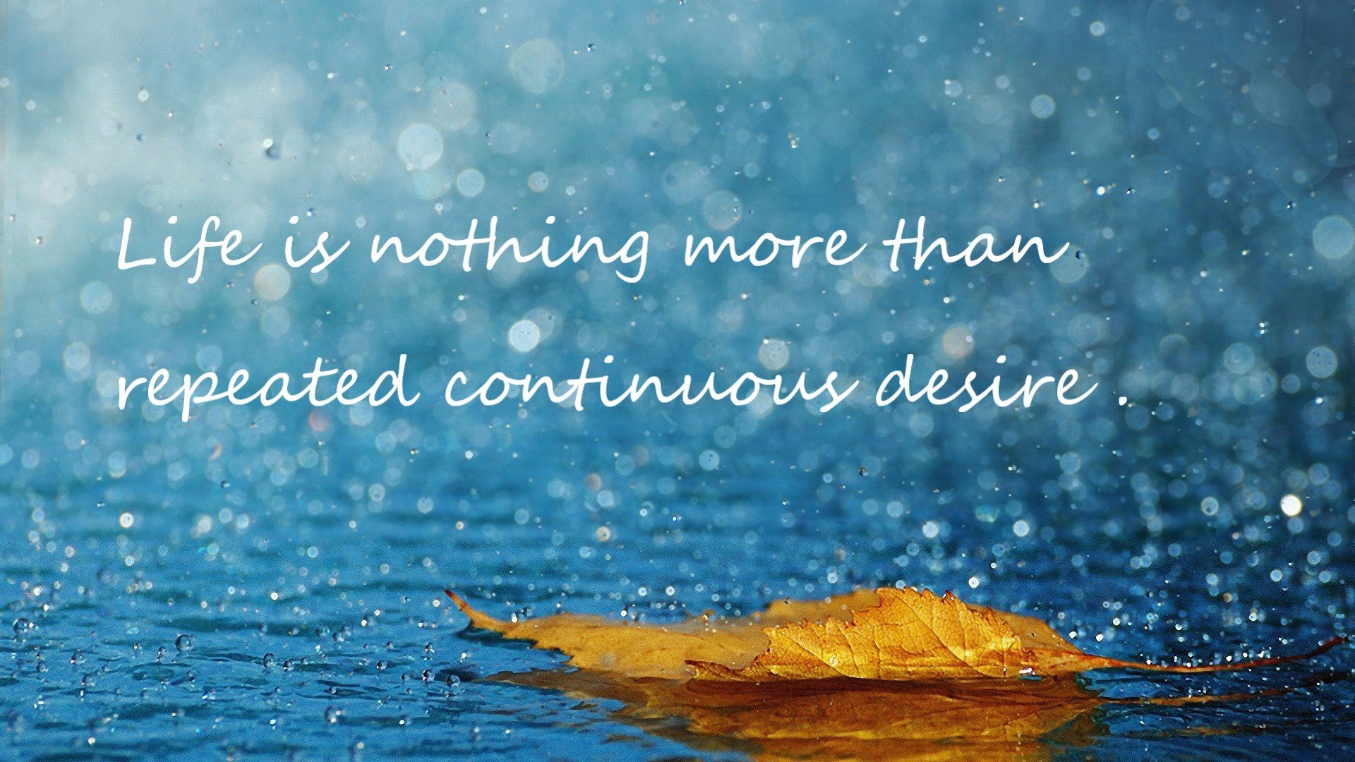 法甲十足火药味：场上场下都充满张力，法甲有哪些强队