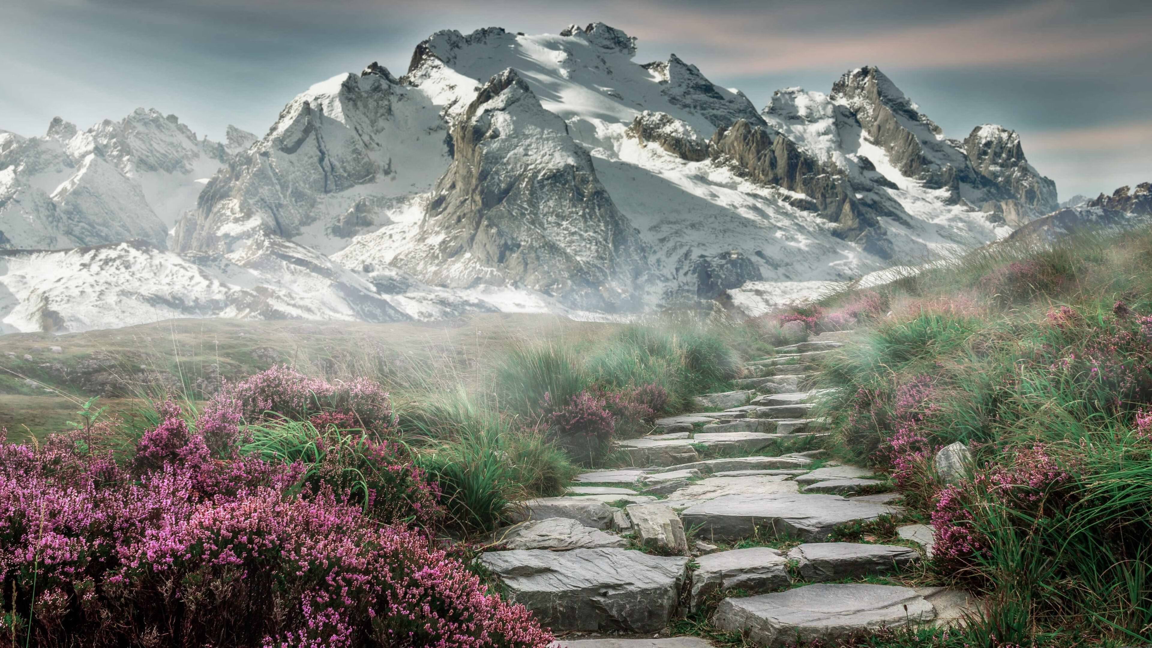 火箭豪取连胜NBA总决赛，火箭进总决赛