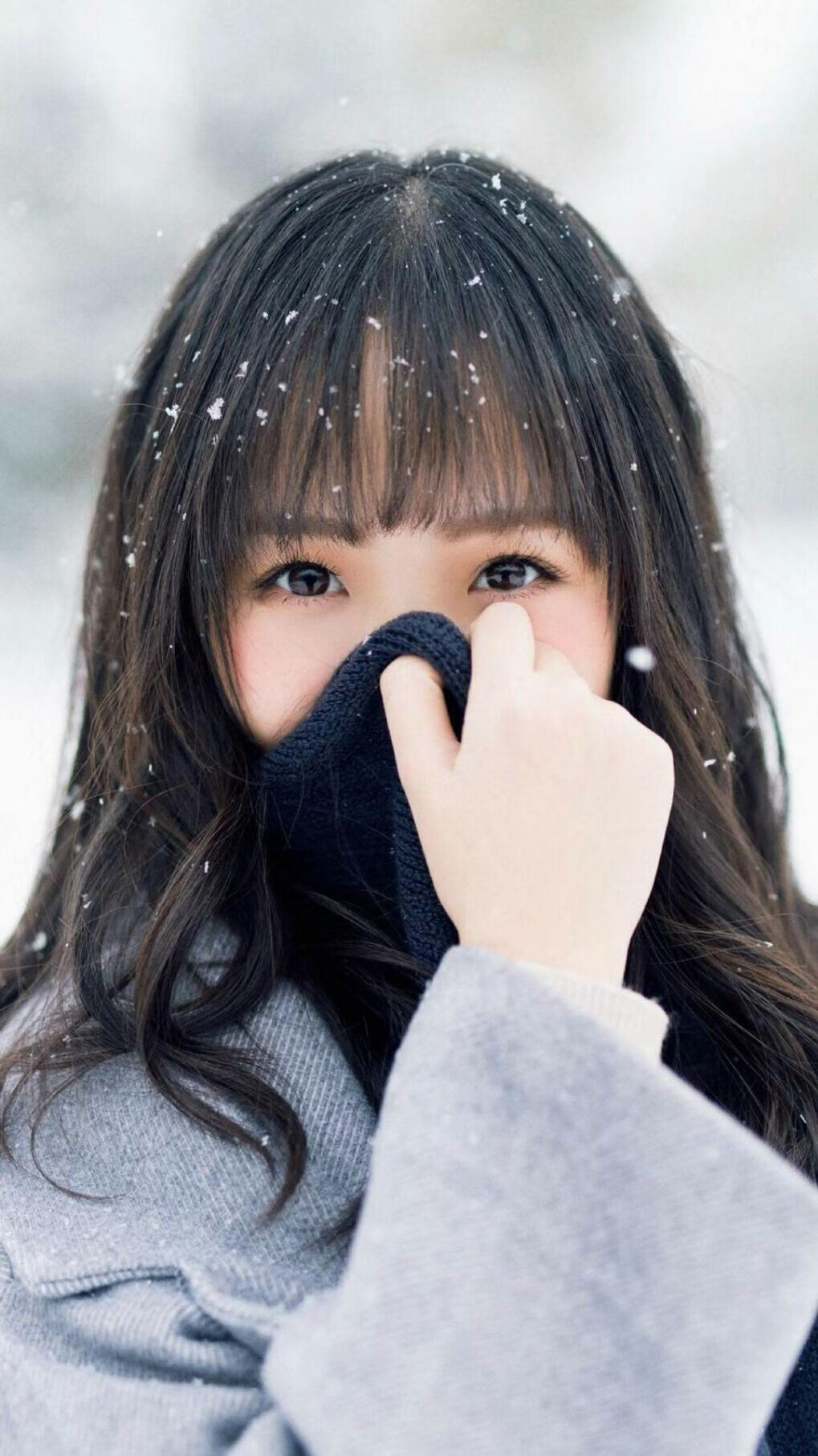 球员合同续签达成，多队确保核心阵容稳定，球员合同年