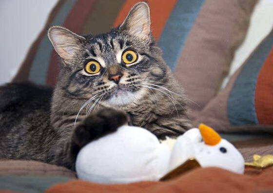 赛前动员激发团队斗志，振奋人心的赛前动员